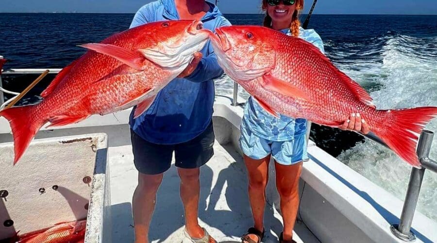 Gulf Shores and Orange Beach, AL Fishing Report – June 2024*