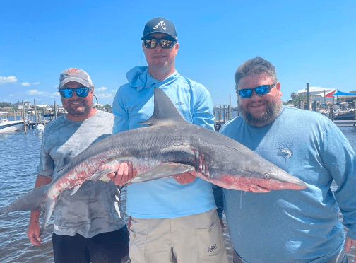 shark fishing laws in alabama