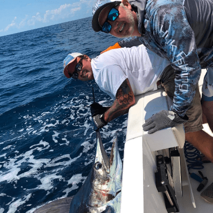 where to catch sailfish