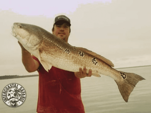 catch speckled trout in pensacola