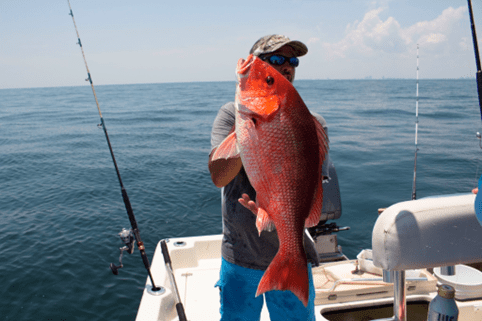 Dauphin Island Fall Fishing Report