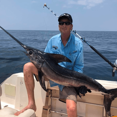 Where to catch swordfish