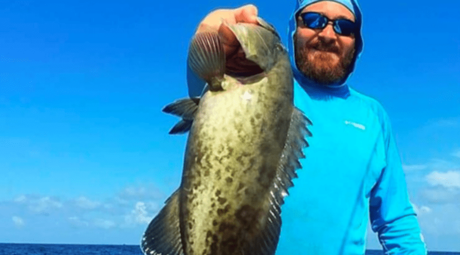 Catching grouper in Pensacola
