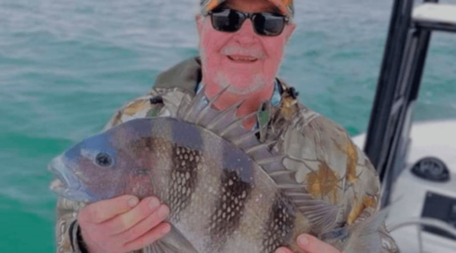 Catching sheepshead in Dauphin Island