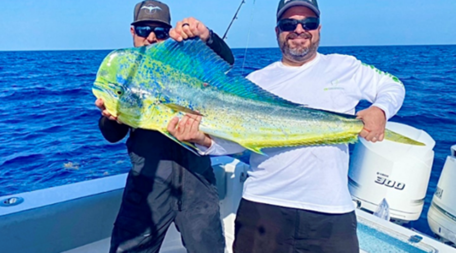 How to catch Mahi Mahi