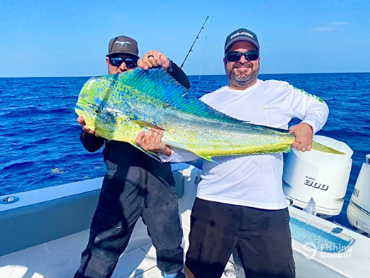 How to catch Mahi Mahi