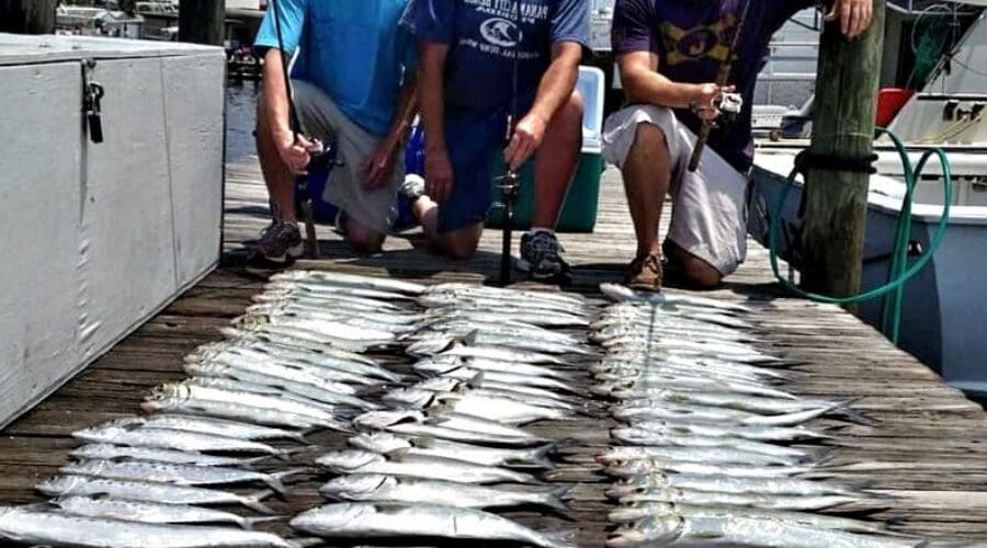 Panama City Beach, Florida Fishing Report for May 2024