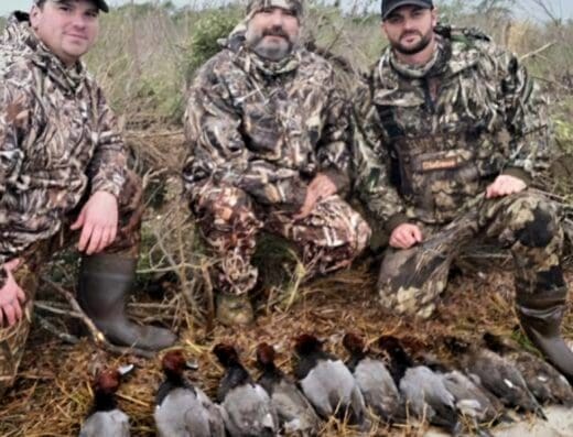 coastal duck hunting